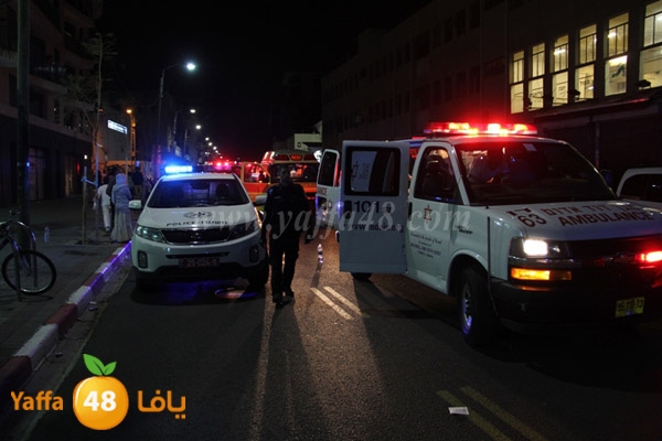 shejar aretreeien (13).JPG